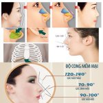 cấu-trúc-mũi.jpg cấu-trúc-mũi.jpg