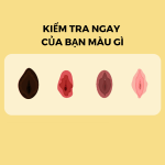 2.png 2.png